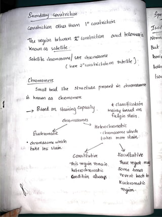 Cytology and genetics notes