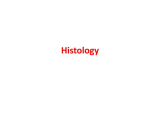 Histology
 