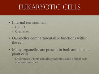 Eukaryotic cells
• Internal environment
• Cytosol
• Organelles
• Organelles compartmentalize functions within
the cell
• Many organelles are present in both animal and
plant cells
• Differences: Plants contain chloroplasts and animal cells
contain centrioles
 