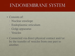 Endomembrane system
• Consists of:
• Nuclear envelope
• Endoplasmic reticulum
• Golgi apparatus
• Vesicles
• Connected via direct physical contact and/or
by the transfer of vesicles from one part to
another.
 