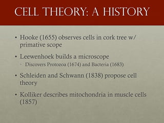 Cell Theory: A history
• Hooke (1655) observes cells in cork tree w/
primative scope
• Leewenhoek builds a microscope
• Discovers Protozoa (1674) and Bacteria (1683)
• Schleiden and Schwann (1838) propose cell
theory
• Kolliker describes mitochondria in muscle cells
(1857)
 