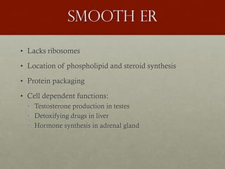 Smooth er
• Lacks ribosomes
• Location of phospholipid and steroid synthesis
• Protein packaging
• Cell dependent functions:
• Testosterone production in testes
• Detoxifying drugs in liver
• Hormone synthesis in adrenal gland
 
