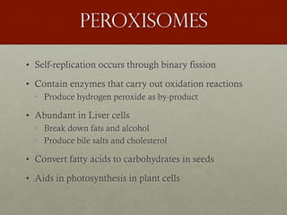 peroxisomes
• Self-replication occurs through binary fission
• Contain enzymes that carry out oxidation reactions
• Produce hydrogen peroxide as by-product
• Abundant in Liver cells
• Break down fats and alcohol
• Produce bile salts and cholesterol
• Convert fatty acids to carbohydrates in seeds
• Aids in photosynthesis in plant cells
 