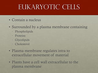Eukaryotic cells
• Contain a nucleus
• Surrounded by a plasma membrane containing
• Phospholipids
• Proteins
• Glycolipids
• Cholesterol
• Plasma membrane regulates intra to
extracellular movement of material
• Plants have a cell wall extracellular to the
plasma membrane
 