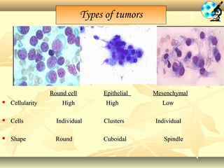 Cytology & tumor dignosis | PPT
