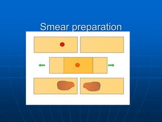 cyto medlab.ppt