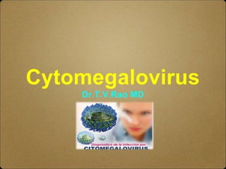 Cytomegalovirus
Dr.T.V.Rao MD
 