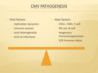 CMV PATHOGENESIS
• Viral factors
– replication dynamics
– immune evasion
– viral heterogeneity
– viral co-infections
• Host factors
– CD4+, CD8+ T-cell
– NK cell, B-cell
– exogenous
immunosuppression
– D/R immune status
13
 