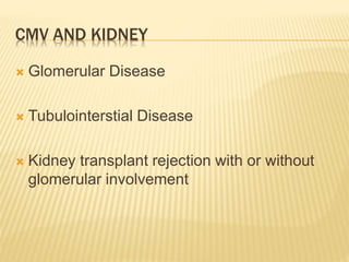 CMV AND KIDNEY
 Glomerular Disease
 Tubulointerstial Disease
 Kidney transplant rejection with or without
glomerular involvement
 