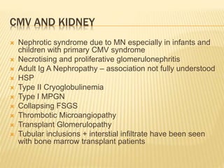 CMV AND KIDNEY
 Nephrotic syndrome due to MN especially in infants and
children with primary CMV syndrome
 Necrotising and proliferative glomerulonephritis
 Adult Ig A Nephropathy – association not fully understood
 HSP
 Type II Cryoglobulinemia
 Type I MPGN
 Collapsing FSGS
 Thrombotic Microangiopathy
 Transplant Glomerulopathy
 Tubular inclusions + interstial infiltrate have been seen
with bone marrow transplant patients
 