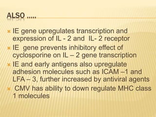ALSO …..
 IE gene upregulates transcription and
expression of IL - 2 and IL- 2 receptor
 IE gene prevents inhibitory effect of
cyclosporine on IL – 2 gene transcription
 IE and early antigens also upregulate
adhesion molecules such as ICAM –1 and
LFA – 3, further increased by antiviral agents
 CMV has ability to down regulate MHC class
1 molecules
 