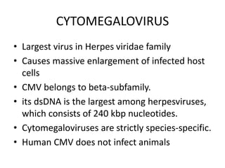 CYTOMEGALOVIRUS
• Largest virus in Herpes viridae family
• Causes massive enlargement of infected host
cells
• CMV belongs to beta-subfamily.
• its dsDNA is the largest among herpesviruses,
which consists of 240 kbp nucleotides.
• Cytomegaloviruses are strictly species-specific.
• Human CMV does not infect animals
 