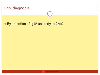 Cytomegalovirus (Virology, Microbiology).pdf