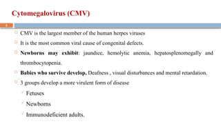 Cytomegalovirus (CMV) Cytomegalovirus // | PPTX