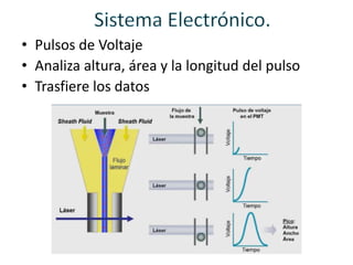 • Pulsos de Voltaje
• Analiza altura, área y la longitud del pulso
• Trasfiere los datos
 