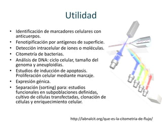 • Identificación de marcadores celulares con
anticuerpos.
• Fenotipificación por antígenos de superficie.
• Detección intracelular de iones o moléculas.
• Citometría de bacterias.
• Análisis de DNA: ciclo celular, tamaño del
genoma y aneuploidías.
• Estudios de inducción de apoptosis.
Proliferación celular mediante marcaje.
• Expresión génica.
• Separación (sorting) para: estudios
funcionales en subpoblaciones definidas,
cultivo de células transfectadas, clonación de
células y enriquecimiento celular.
http://labnalcit.org/que-es-la-citometria-de-flujo/
 