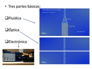 • Tres partes básicas:
Fluídica
Óptica
Electrónica
 