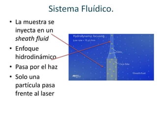 • La muestra se
inyecta en un
sheath fluid
• Enfoque
hidrodinámico
• Pasa por el haz
• Solo una
partícula pasa
frente al laser
 
