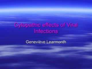 Cytopathic   effects of Viral Infections Genevi ève Learmonth 
