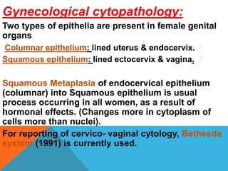 Gynecological cytopathology:
Two types of epithelia are present in female genital
organs
.1
Columnar epithelium: lined uterus & endocervix.
.2
Squamous epithelium: lined ectocervix & vagina.
Squamous Metaplasia of endocervical epithelium
(columnar) into Squamous epithelium is usual
process occurring in all women, as a result of
hormonal effects. (Changes more in cytoplasm of
cells more than nuclei).
For reporting of cervico- vaginal cytology, Bethesda
system (1991) is currently used.
 