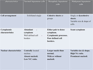 characteristics Normal Squamous cells Metaplatic Squamous
cells
Malignant Squamous
cells
Cell arrangement Exfoliated singly Cohesive sheets or
groups
Singly or dyscohesive
sheets.
Variable size & shape of
cells.
Cytoplasmic
characteristics

Abundant
cytoplasm

Well defined cell
borders
Either pale to dense
cytoplasm.
Cytoplasmic processes.
Poor defined cell
borders.
Scant cytoplasm
Nuclear characteristics Centrally located
nucleus.
Absent nucleoli.
Low N/C ratio.
Larger nuclei than
normal.
With or without
nucleoli.
Variable size & shape.
High N/c ratio.
Prominent nucleoli.
 