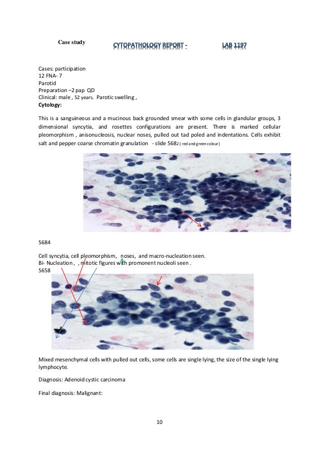 Cytopathology report 2013 ready