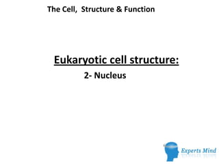 The Cell, Structure & Function
Eukaryotic cell structure:
2- Nucleus