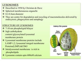 Contents of Cytoplasm | PPTX