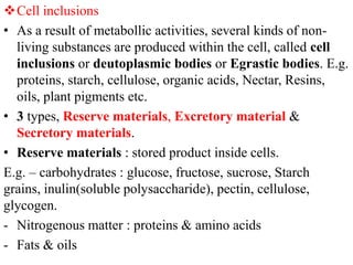 Cytoplasm & cell organelles By Manoj Dhital (M.Sc Medical Microbiology ...
