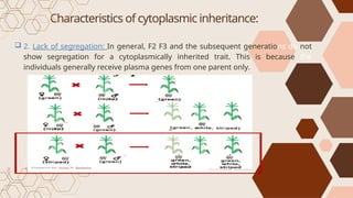 Simple Cytoplasmic Inheritance CYTOPLASMIC-INHERITANCE_Lec7a.pptxjahama | PPTX