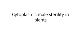 Cytoplasmic male sterility in
plants
 