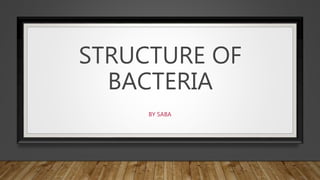 STRUCTURE OF
BACTERIA
BY SABA