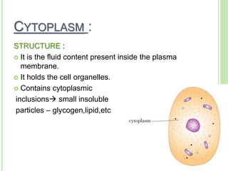 Cytoplasmic organelles | PPT