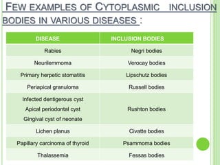 Cytoplasmic Inclusions Examples Cytoplasmic organelles | PPT