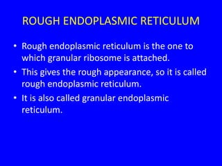 ROUGH ENDOPLASMIC RETICULUM
• Rough endoplasmic reticulum is the one to
which granular ribosome is attached.
• This gives the rough appearance, so it is called
rough endoplasmic reticulum.
• It is also called granular endoplasmic
reticulum.
 