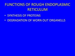 FUNCTIONS OF ROUGH ENDOPLASMIC
RETICULUM
• SYNTHESIS OF PROTEINS
• DEGRADATION OF WORN OUT ORGANELLS
 