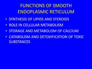 FUNCTIONS OF SMOOTH
ENDOPLASMIC RETICULUM
• SYNTHESIS OF LIPIDS AND STEROIDS
• ROLE IN CELLULAR METABOLISM
• STORAGE AND METABOLISM OF CALCIUM
• CATABOLISM AND DETOXIFICATION OF TOXIC
SUBSTANCES
 