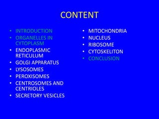 CONTENT
• INTRODUCTION
• ORGANELLES IN
CYTOPLASM
• ENDOPLASMIC
RETICULUM
• GOLGI APPARATUS
• LYSOSOMES
• PEROXISOMES
• CENTROSOMES AND
CENTRIOLES
• SECRETORY VESICLES
• MITOCHONDRIA
• NUCLEUS
• RIBOSOME
• CYTOSKELITON
• CONCLUSION
 