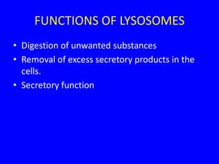FUNCTIONS OF LYSOSOMES
• Digestion of unwanted substances
• Removal of excess secretory products in the
cells.
• Secretory function
 