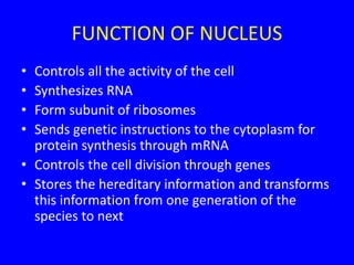 FUNCTION OF NUCLEUS
• Controls all the activity of the cell
• Synthesizes RNA
• Form subunit of ribosomes
• Sends genetic instructions to the cytoplasm for
protein synthesis through mRNA
• Controls the cell division through genes
• Stores the hereditary information and transforms
this information from one generation of the
species to next
 