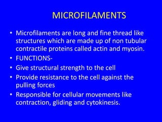 MICROFILAMENTS
• Microfilaments are long and fine thread like
structures which are made up of non tubular
contractile proteins called actin and myosin.
• FUNCTIONS-
• Give structural strength to the cell
• Provide resistance to the cell against the
pulling forces
• Responsible for cellular movements like
contraction, gliding and cytokinesis.
 