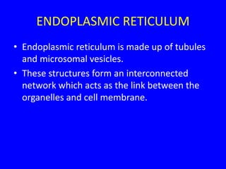ENDOPLASMIC RETICULUM
• Endoplasmic reticulum is made up of tubules
and microsomal vesicles.
• These structures form an interconnected
network which acts as the link between the
organelles and cell membrane.
 