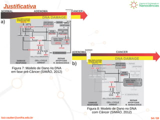 luiz.rauber@unifra.edu.br 54 / 59
Justificativa
Figura 8: Modelo de Dano no DNA
com Câncer (SIMÃO, 2012)
Figura 7: Modelo de Dano no DNA
em fase pré-Câncer (SIMÃO, 2012)
 