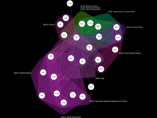 MeSH: Calcium
GO BP: Metal Ion Transport
GO MF: Gated Channel Activity
GO MF: Cation Channel Activity
GO MF: Voltage-Gated Ion Channel Activity
MeSH: Phosphorylation
MeSH: Signal Transduction
MeSH: Intercellular Signaling Peptides and Proteins
MeSH: Rats
MeSH: Nerve Tissue Proteins
MeSH Ion Channel Gating
CRKL
ANK3
CABP1
CACNA
2D4
CACNB
3
GNB1
PCBD1
RIMS1
PPM1A
PRKAC
A
RYR2
SRI
CACNA
1C
FAS
FADD
CNTN1
HOOK1
KCNC1
KCNC2
SMAD3
SMAD2
PIK3R1
SPTBN4
SCN1B
SCNN1
B
SCN2A
 