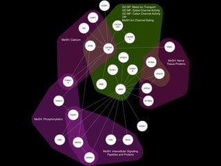 MeSH: Calcium
GO BP: Metal Ion Transport
GO MF: Gated Channel Activity
GO MF: Cation Channel Activity
OR
MeSH Ion Channel Gating
MeSH: Phosphorylation
MeSH: Intercellular Signaling
Peptides and Proteins
MeSH: Nerve
Tissue Proteins
CRKL
ANK3
CABP1
CACNA
2D4
CACNB
3
GNB1
PCBD1
RIMS1
PPM1A
PRKAC
A
RYR2
SRI
CACNA
1C
FAS FADD
CNTN1
HOOK1
KCNC1
KCNC2
SMAD3
SMAD2
PIK3R1
SPTBN4
SCN1B
SCNN1
B
SCN2A
 