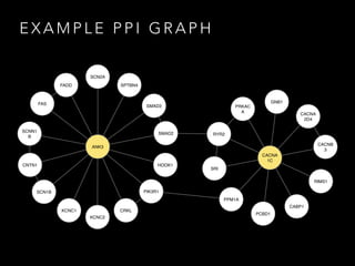 E X A M P L E P P I G R A P H
ANK3
CABP1
CACNA
2D4
CACNB
3
GNB1
PCBD1
RIMS1
PPM1A
PRKAC
A
RYR2
SRI
CACNA
1C
FAS
FADD
CNTN1
CRKL
HOOK1
KCNC1
KCNC2
SMAD3
SMAD2
PIK3R1
SPTBN4
SCN1B
SCNN1
B
SCN2A
 