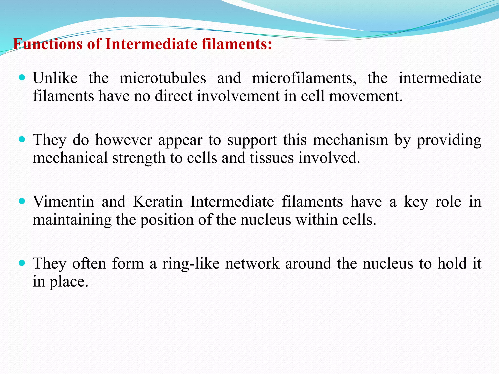 Finally! A Simple Guide To Cytoskeletal Structures & Their Jobs - 6qt2mvl