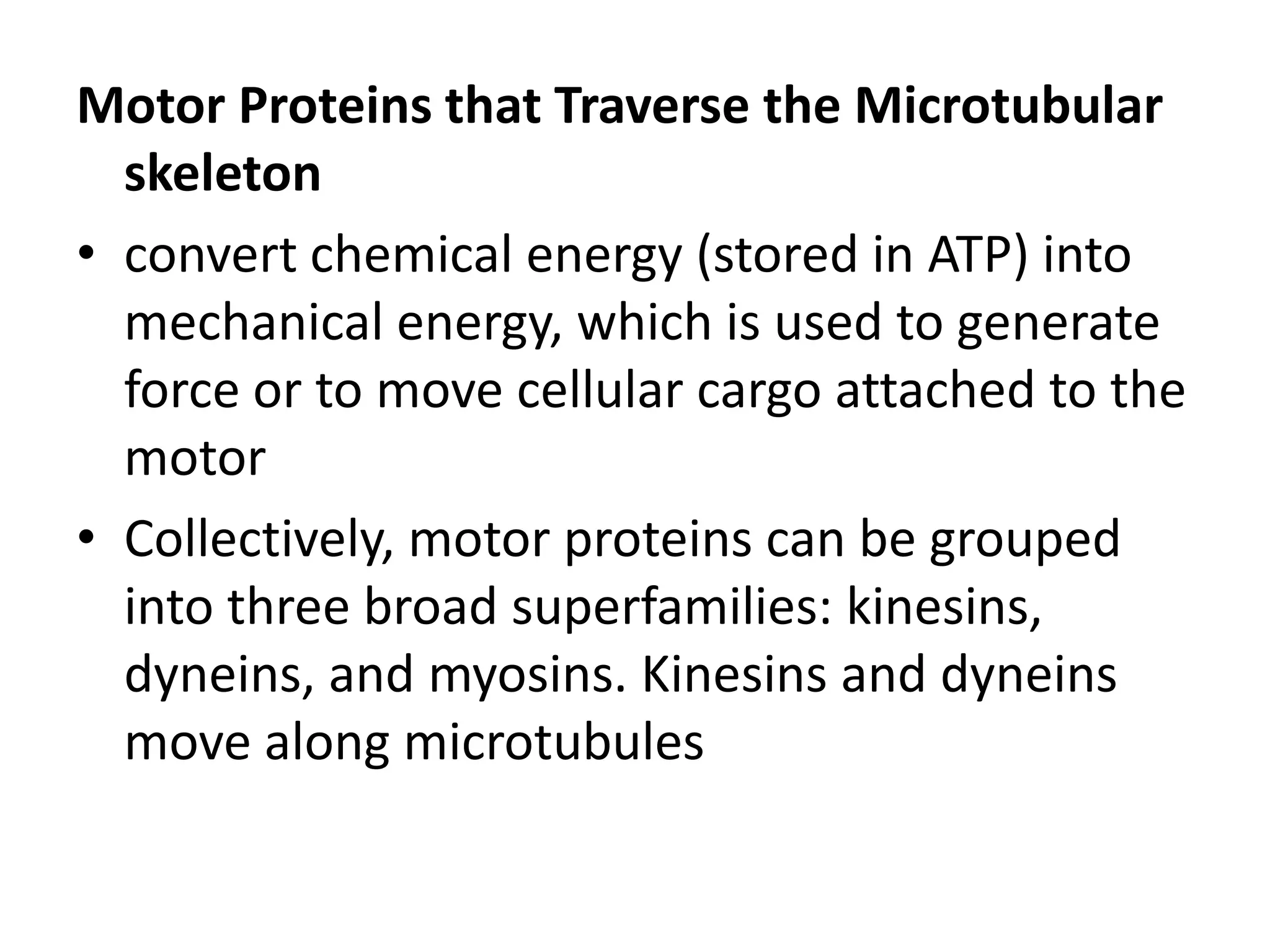 Motor Proteins that Traverse the Microtubular
  skeleton
• convert chemical energy (stored in ATP) into
  mechanical energy, which is used to generate
  force or to move cellular cargo attached to the
  motor
• Collectively, motor proteins can be grouped
  into three broad superfamilies: kinesins,
  dyneins, and myosins. Kinesins and dyneins
  move along microtubules
 