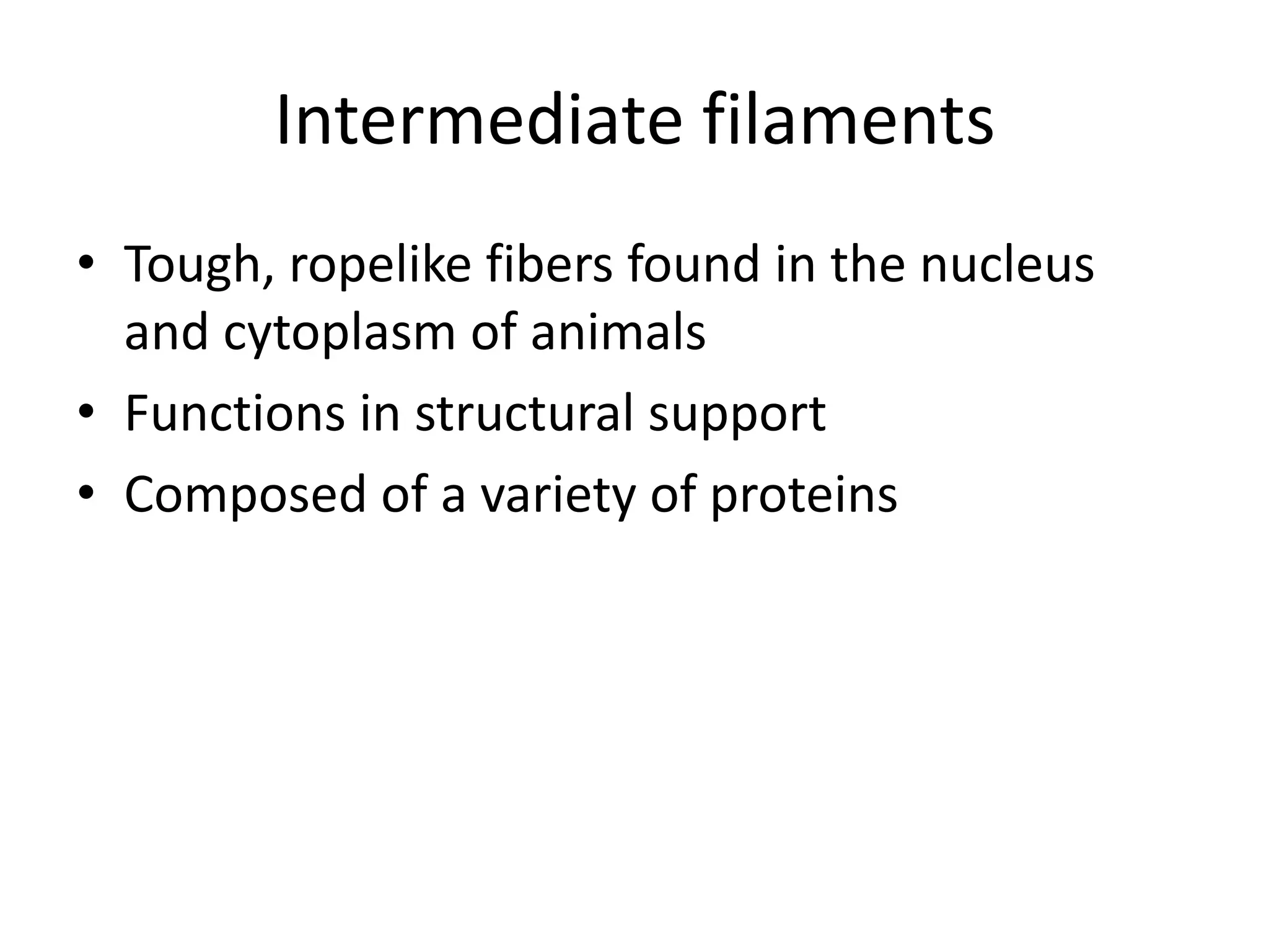 Intermediate filaments
• Tough, ropelike fibers found in the nucleus
  and cytoplasm of animals
• Functions in structural support
• Composed of a variety of proteins
 