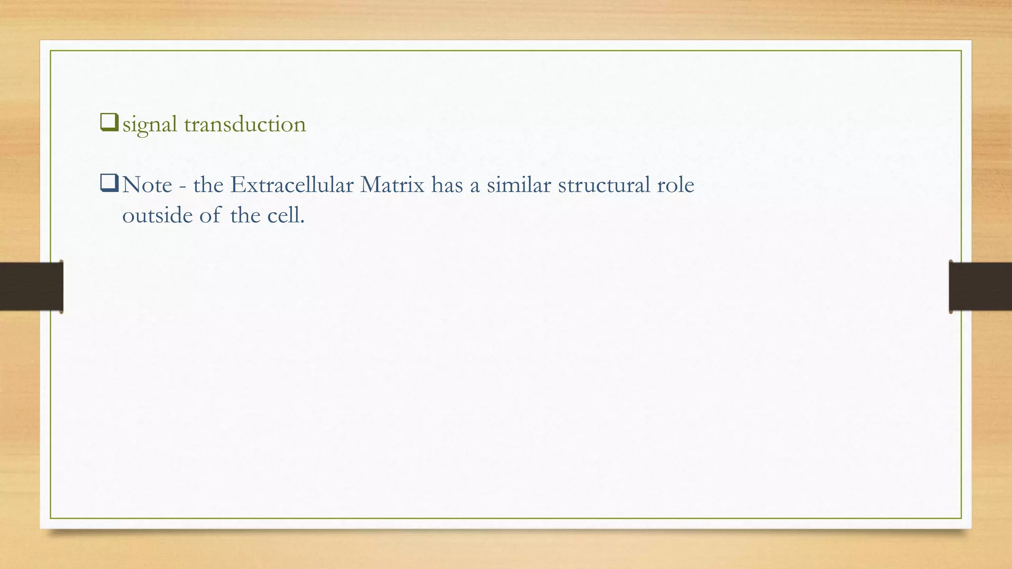 signal transduction
Note - the Extracellular Matrix has a similar structural role
outside of the cell.
 